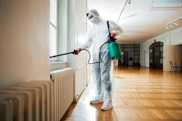 Real Estate Pest Inspections in Arp, TX